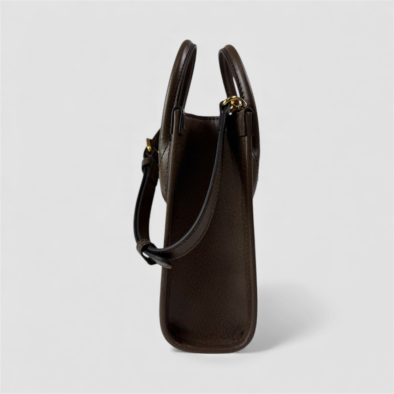 Borsa Gucci Tiger Mini Tote Supreme
