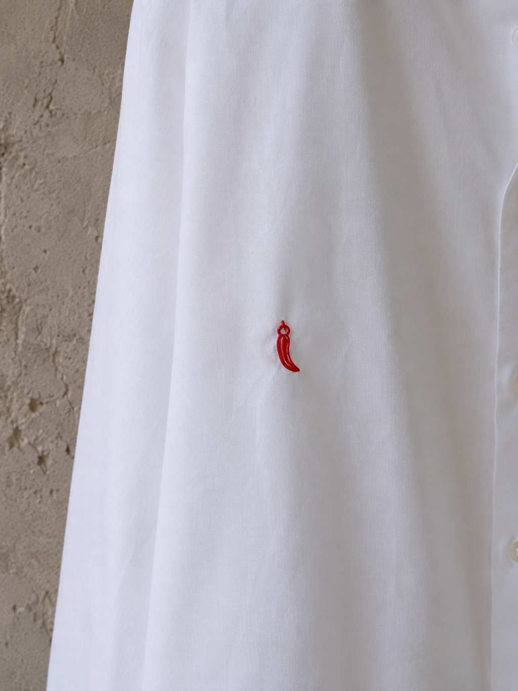Camicia ‘Scemo Chi Legge’