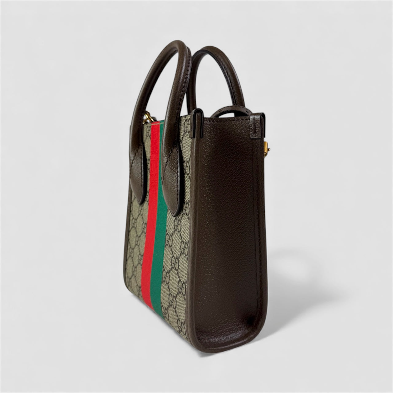 Borsa Gucci Tiger Mini Tote Supreme